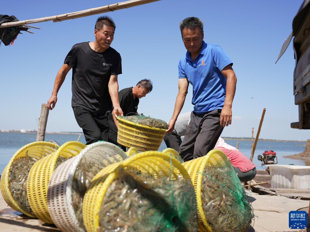 捕鱼兑现金送分