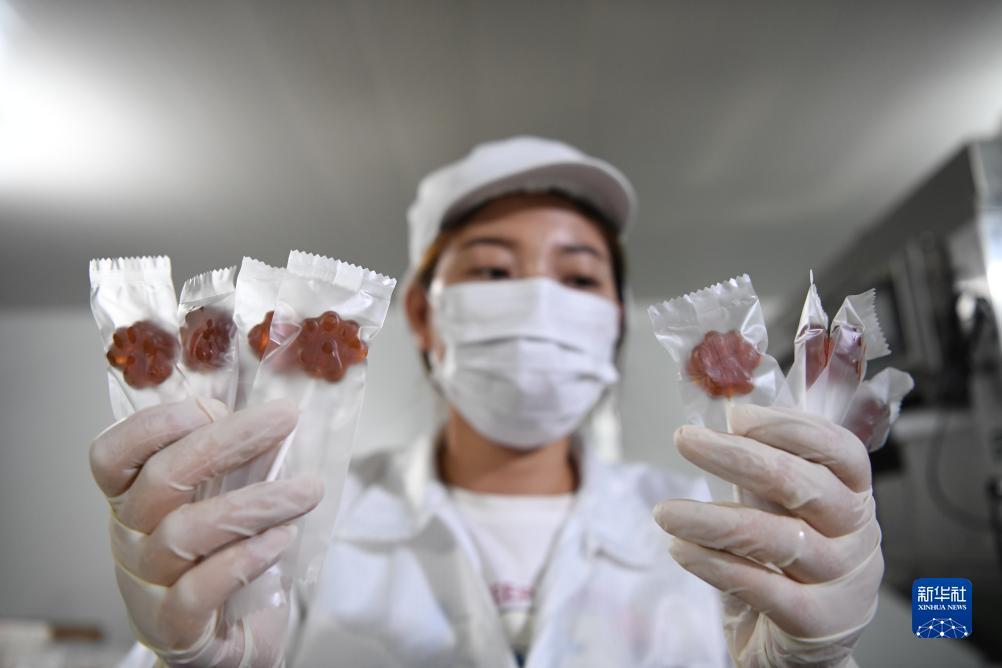 捕鱼大作战3d官方网站