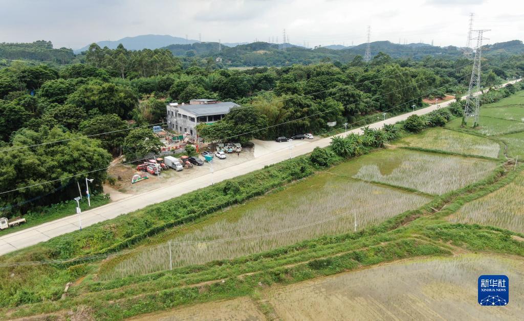 并心川麻